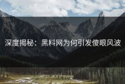 深度揭秘：黑料网为何引发傻眼风波
