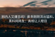 圈内人又爆丑闻！最新刚刚流出猛料，黑料网网友：真相让人瞠目