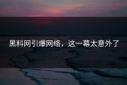 黑料网引爆网络，这一幕太意外了