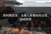 黑料网突发：当事人亲曝秘闻全程，持续刷屏