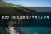 扒皮！网红隐藏的爆了内幕终于公开
