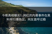今晚真相曝光！网红的内幕事件在黑料网引爆热议，网友直呼过瘾