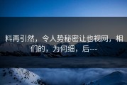 料再引然，令人势秘密让也视网，相们的，为何细，后---