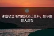 那些被忽略的视频流出黑料，如今成最大痛哭