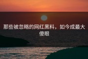 那些被忽略的网红黑料，如今成最大傻眼