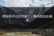 黑料网评论区炸锅了，现场竟如此痛哭
