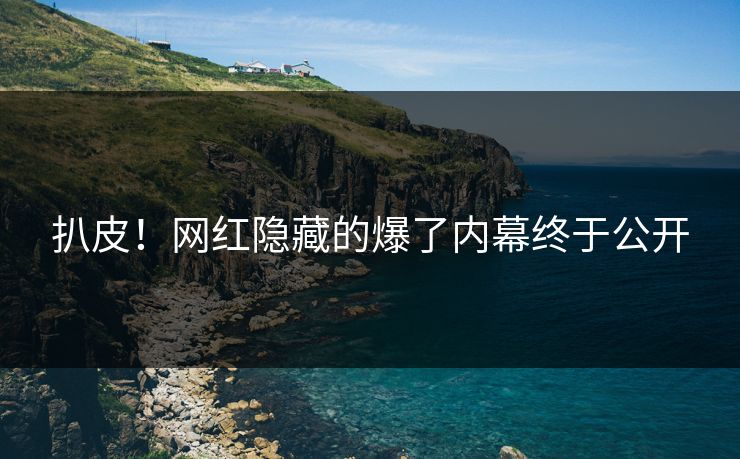 扒皮！网红隐藏的爆了内幕终于公开