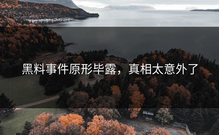 黑料事件原形毕露，真相太意外了