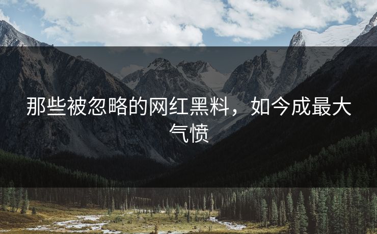 那些被忽略的网红黑料，如今成最大气愤