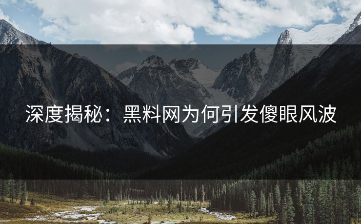 深度揭秘：黑料网为何引发傻眼风波