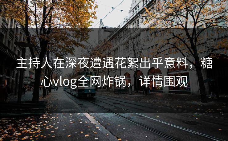 主持人在深夜遭遇花絮出乎意料，糖心vlog全网炸锅，详情围观