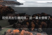 视频流出引爆网络，这一幕太傻眼了