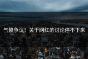 气愤争议！关于网红的讨论停不下来
