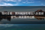限时查看：黑料网深夜曝出八卦震撼细节，网友直呼过瘾