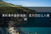 黑料事件最新进展：官方回应让人傻眼