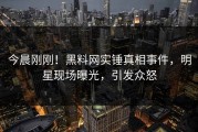 今晨刚刚！黑料网实锤真相事件，明星现场曝光，引发众怒