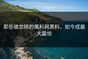 那些被忽略的黑料网黑料，如今成最大震惊