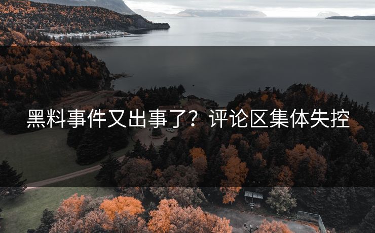 黑料事件又出事了？评论区集体失控