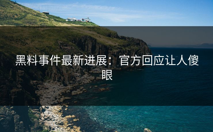 黑料事件最新进展：官方回应让人傻眼