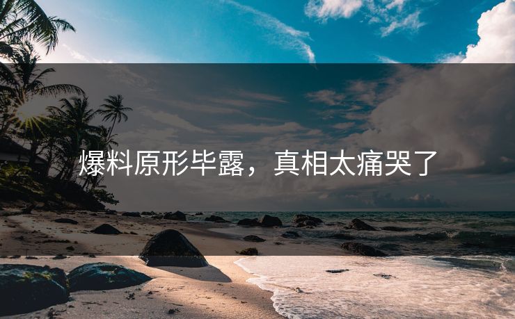 爆料原形毕露，真相太痛哭了